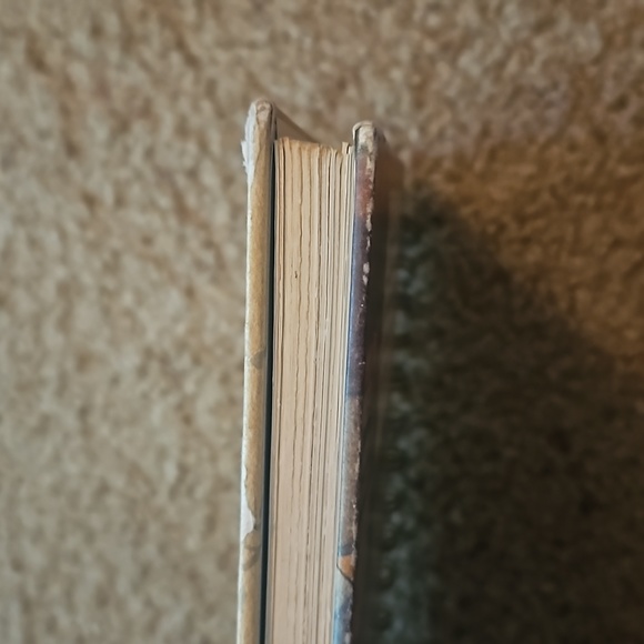 Alice in Wonderland notebook - Picture 11 of 14